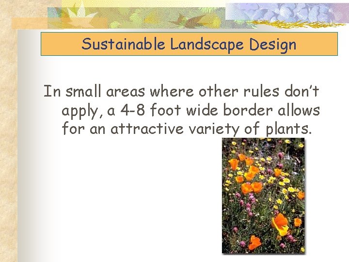 Sustainable Landscape Design In small areas where other rules don’t apply, a 4 -8