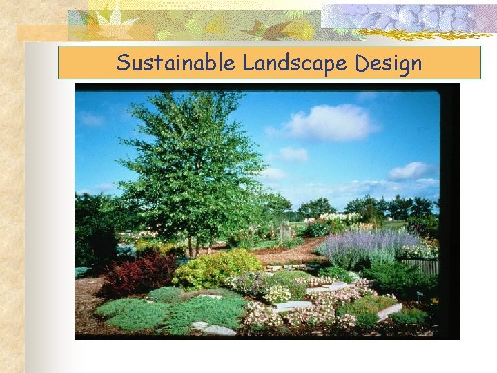 Sustainable Landscape Design 