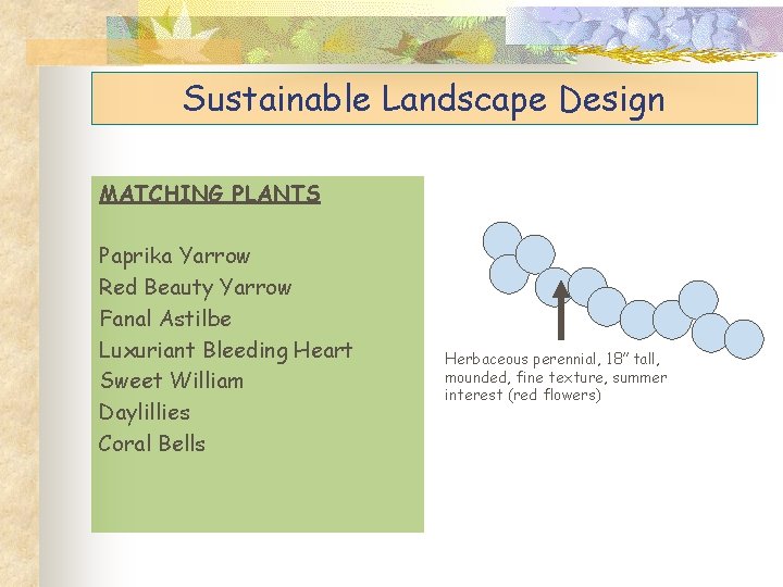 Sustainable Landscape Design MATCHING PLANTS Paprika Yarrow Red Beauty Yarrow Fanal Astilbe Luxuriant Bleeding