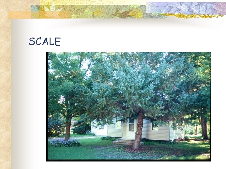 SCALE 