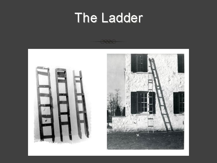 The Ladder The Ladder