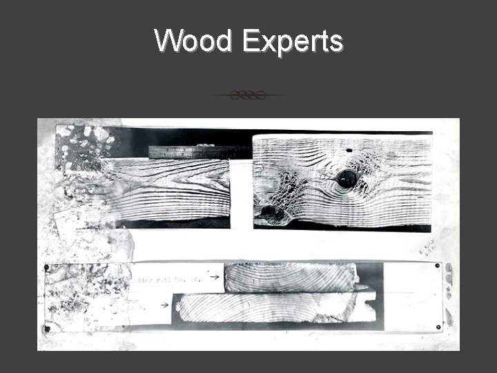 Wood Experts 