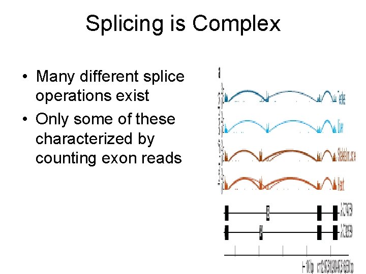 Splicing is Complex • Many different splice operations exist • Only some of these