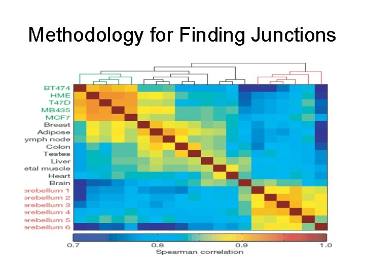 Methodology for Finding Junctions 