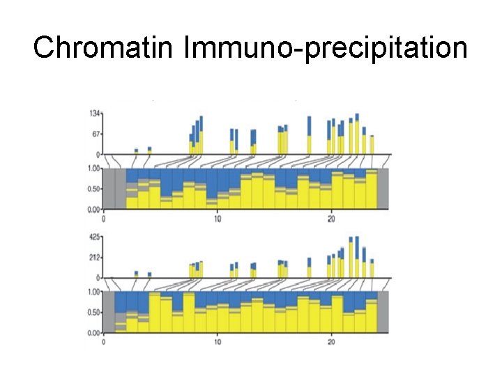 Chromatin Immuno-precipitation 