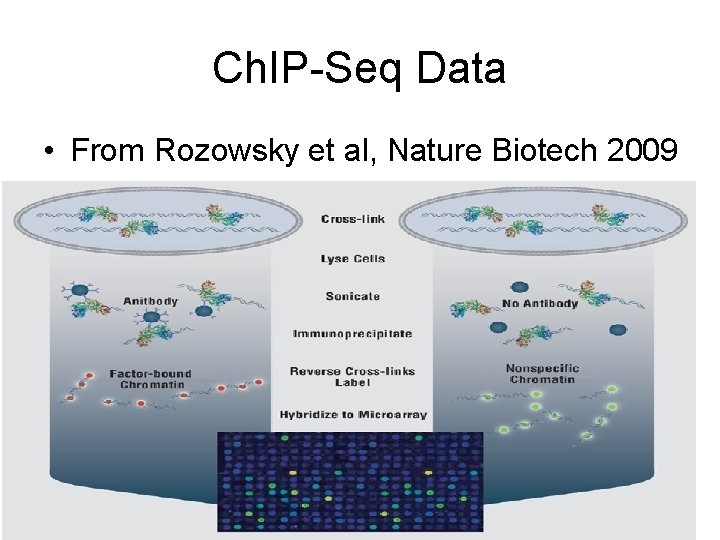 Ch. IP-Seq Data • From Rozowsky et al, Nature Biotech 2009 