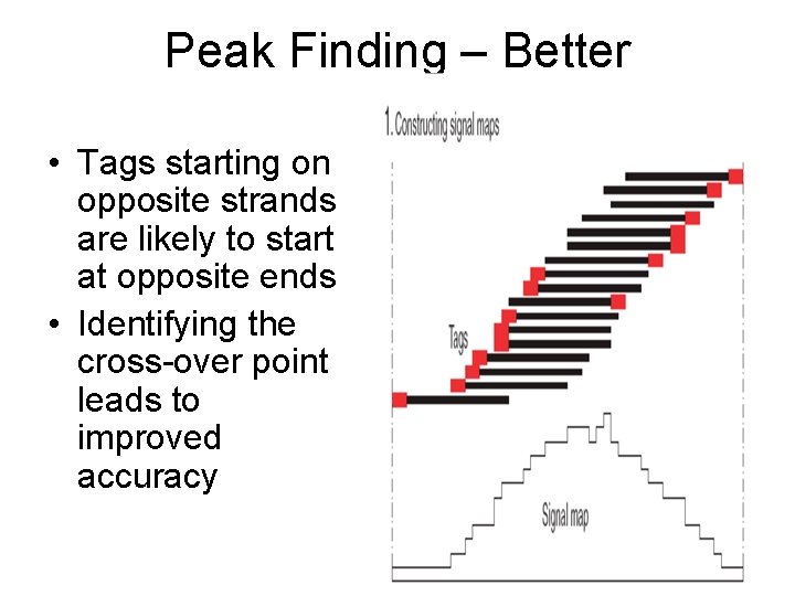 Peak Finding – Better • Tags starting on opposite strands are likely to start