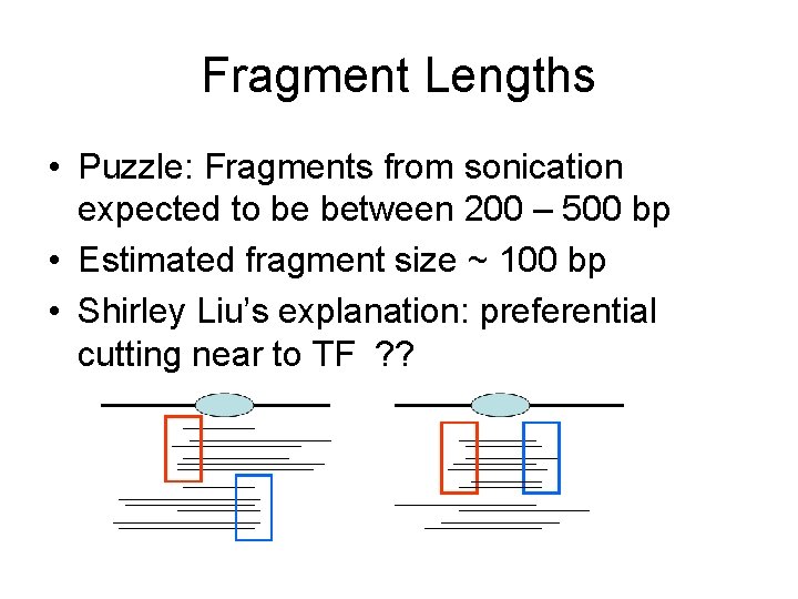 Fragment Lengths • Puzzle: Fragments from sonication expected to be between 200 – 500