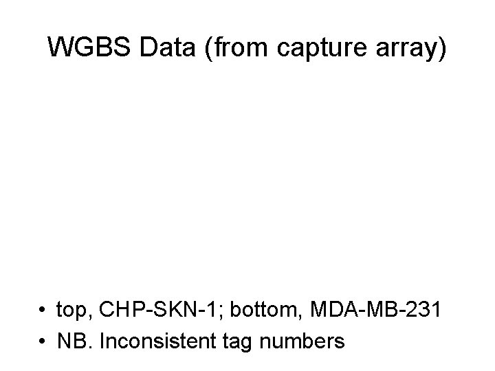 WGBS Data (from capture array) • top, CHP-SKN-1; bottom, MDA-MB-231 • NB. Inconsistent tag