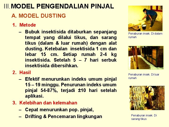 III. MODEL PENGENDALIAN PINJAL A. MODEL DUSTING 1. Metode – Bubuk insektisida ditaburkan sepanjang