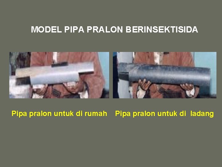 MODEL PIPA PRALON BERINSEKTISIDA Pipa pralon untuk di rumah Pipa pralon untuk di ladang