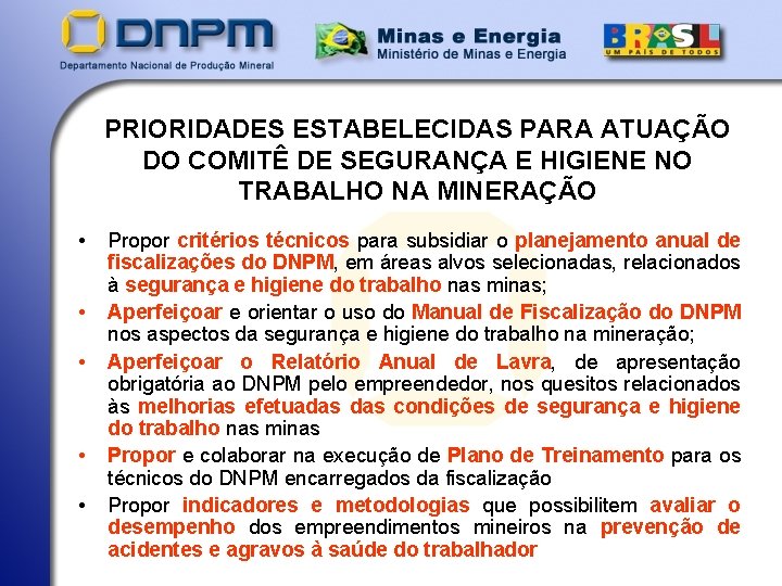 PRIORIDADES ESTABELECIDAS PARA ATUAÇÃO DO COMITÊ DE SEGURANÇA E HIGIENE NO TRABALHO NA MINERAÇÃO