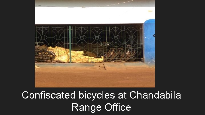 Confiscated bicycles at Chandabila Range Office 