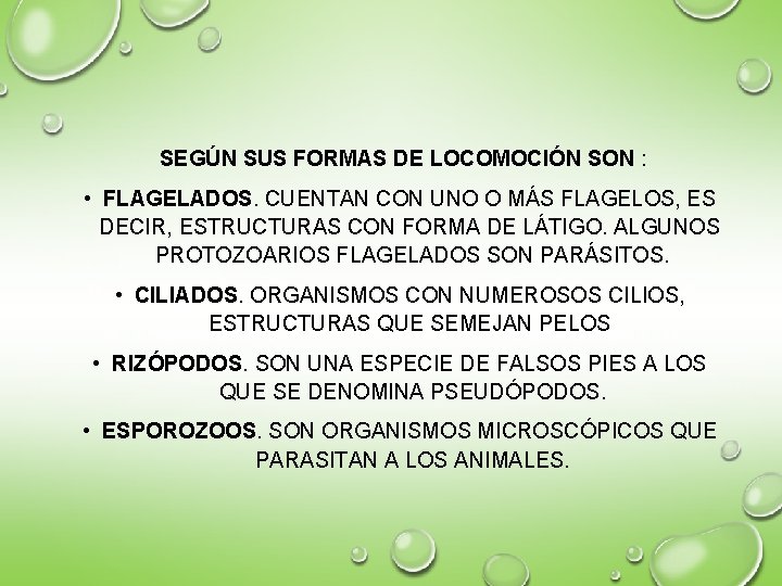 SEGÚN SUS FORMAS DE LOCOMOCIÓN SON : • FLAGELADOS. CUENTAN CON UNO O MÁS