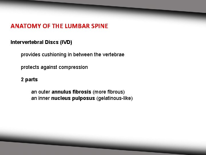 ANATOMY OF THE LUMBAR SPINE Intervertebral Discs (IVD) provides cushioning in between the vertebrae