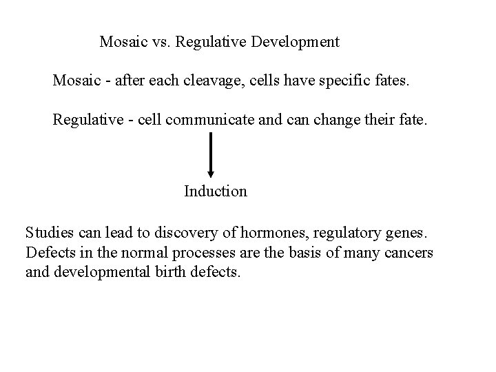 Mosaic vs. Regulative Development Mosaic - after each cleavage, cells have specific fates. Regulative