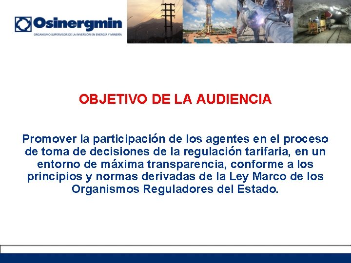 OBJETIVO DE LA AUDIENCIA Promover la participación de los agentes en el proceso de
