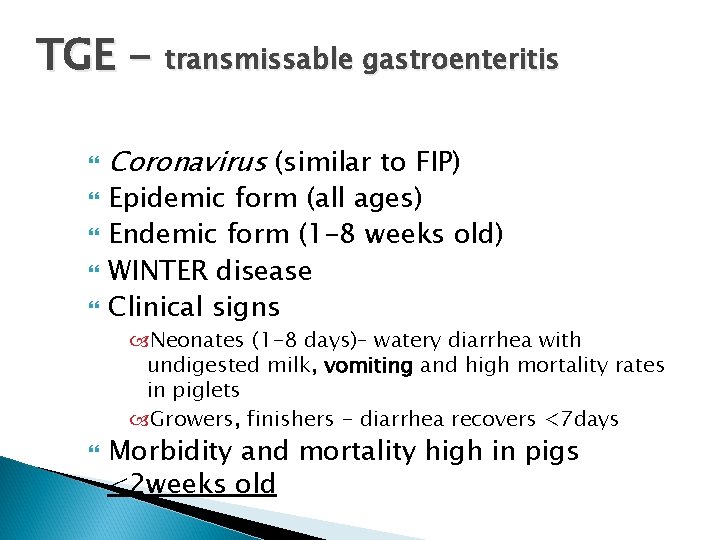 TGE - transmissable gastroenteritis Coronavirus (similar to FIP) Epidemic form (all ages) Endemic form