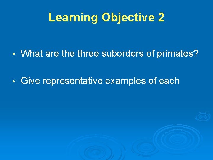 Learning Objective 2 • What are three suborders of primates? • Give representative examples