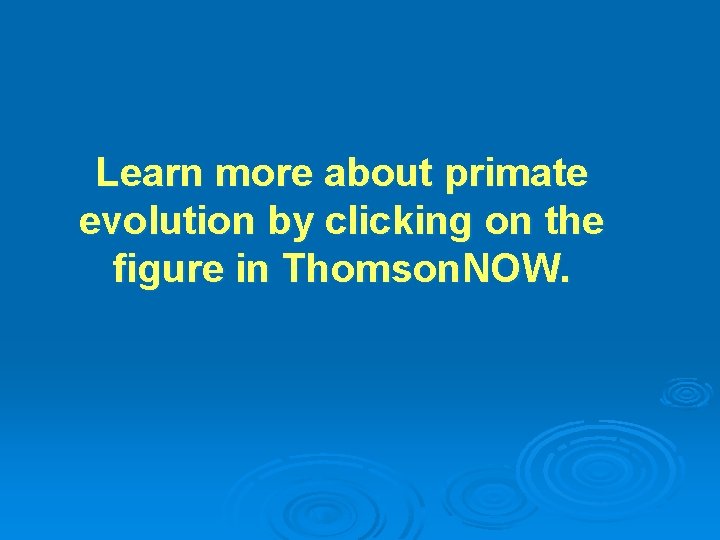Learn more about primate evolution by clicking on the figure in Thomson. NOW. 