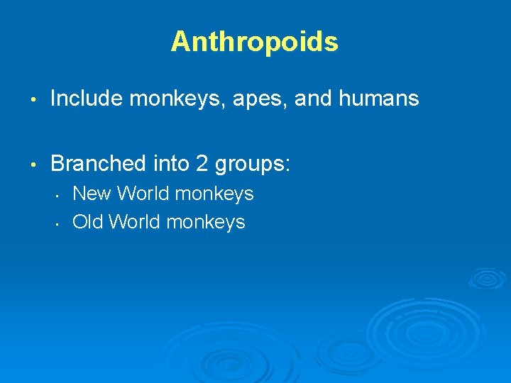 Anthropoids • Include monkeys, apes, and humans • Branched into 2 groups: • •