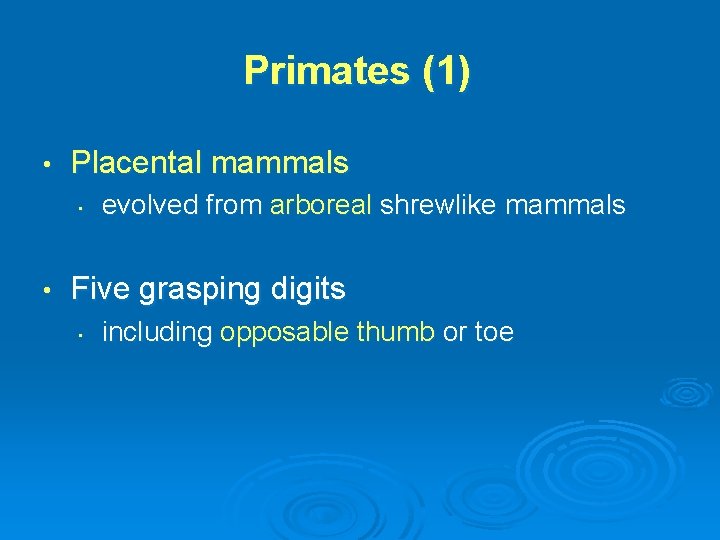 Primates (1) • Placental mammals • • evolved from arboreal shrewlike mammals Five grasping
