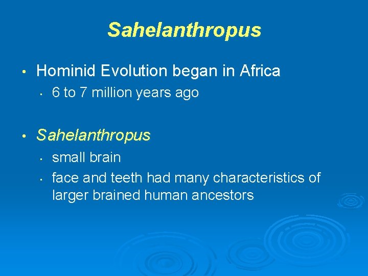 Sahelanthropus • Hominid Evolution began in Africa • • 6 to 7 million years