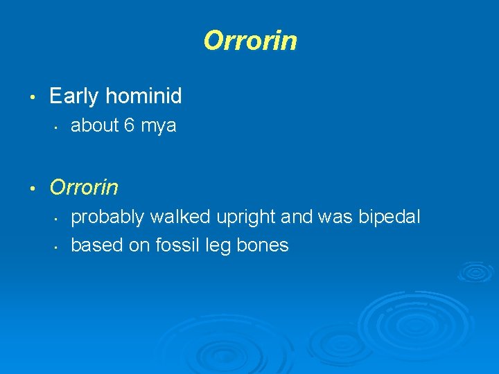 Orrorin • Early hominid • • about 6 mya Orrorin • • probably walked