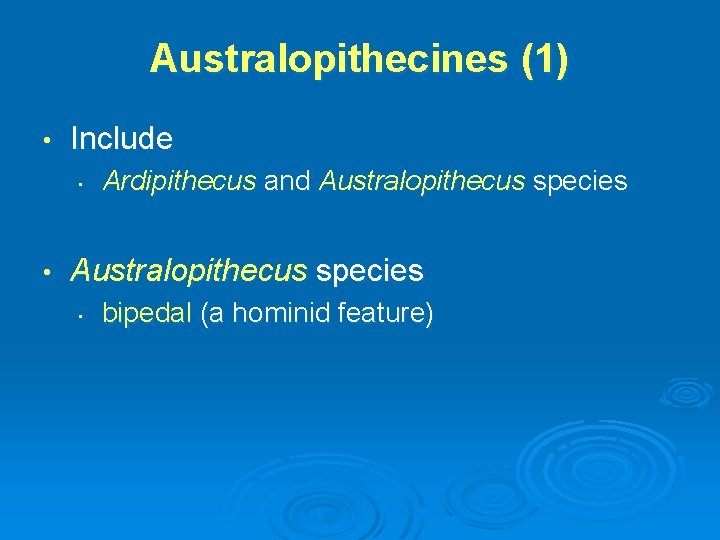 Australopithecines (1) • Include • • Ardipithecus and Australopithecus species • bipedal (a hominid