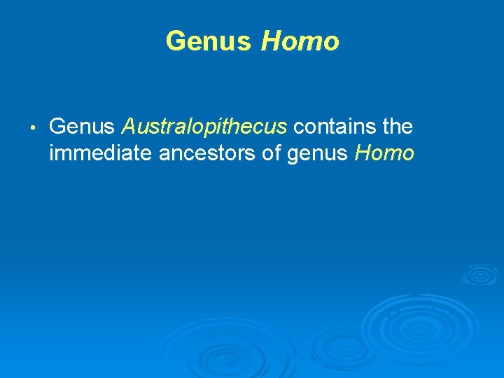 Genus Homo • Genus Australopithecus contains the immediate ancestors of genus Homo 