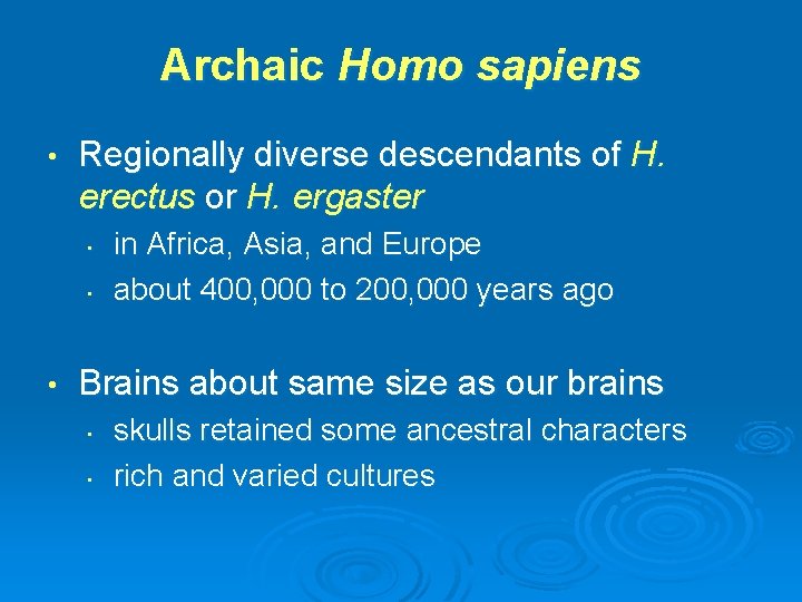 Archaic Homo sapiens • Regionally diverse descendants of H. erectus or H. ergaster •
