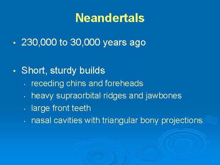 Neandertals • 230, 000 to 30, 000 years ago • Short, sturdy builds •