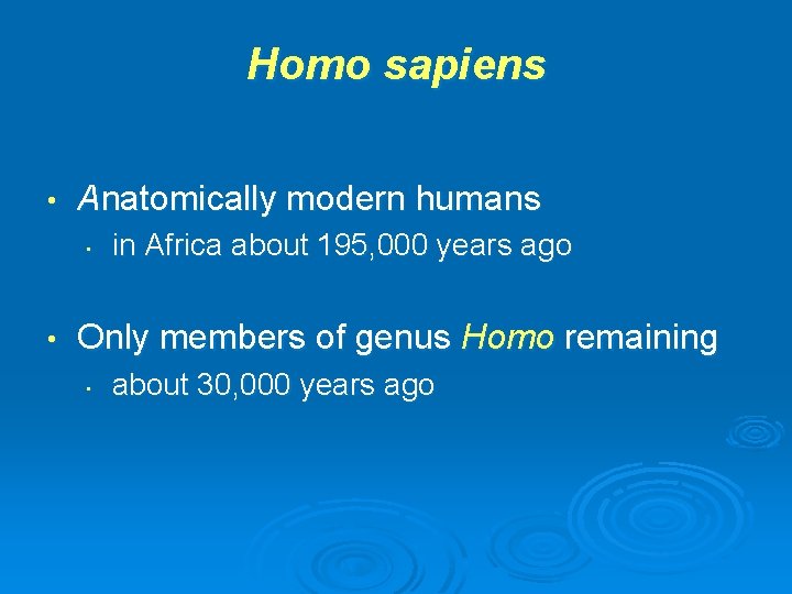 Homo sapiens • Anatomically modern humans • • in Africa about 195, 000 years