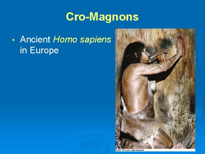 Cro-Magnons • Ancient Homo sapiens in Europe 