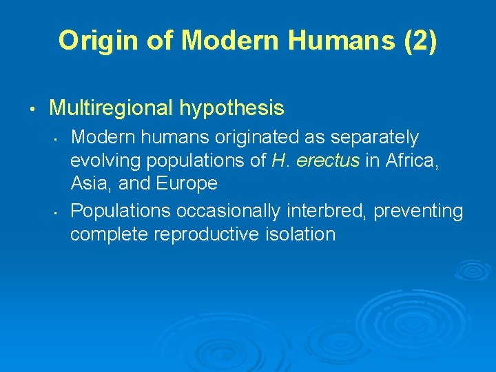 Origin of Modern Humans (2) • Multiregional hypothesis • • Modern humans originated as
