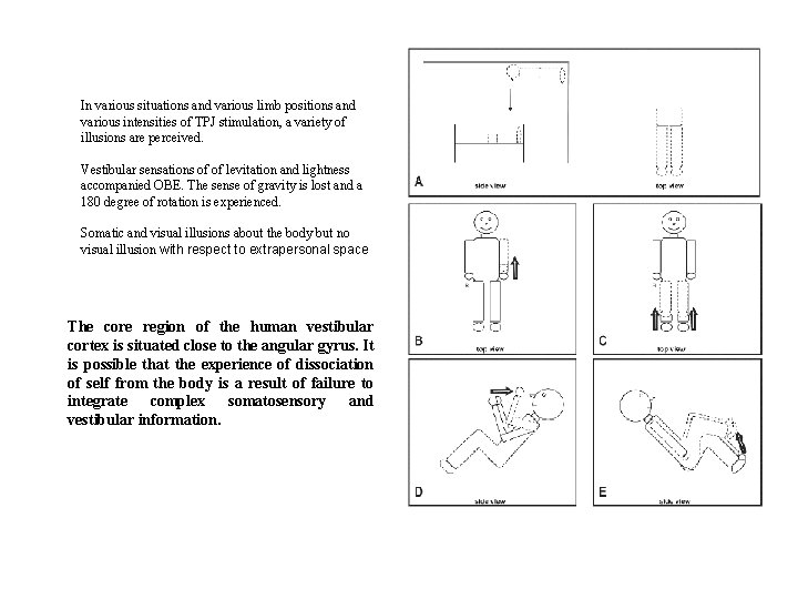 In various situations and various limb positions and various intensities of TPJ stimulation, a