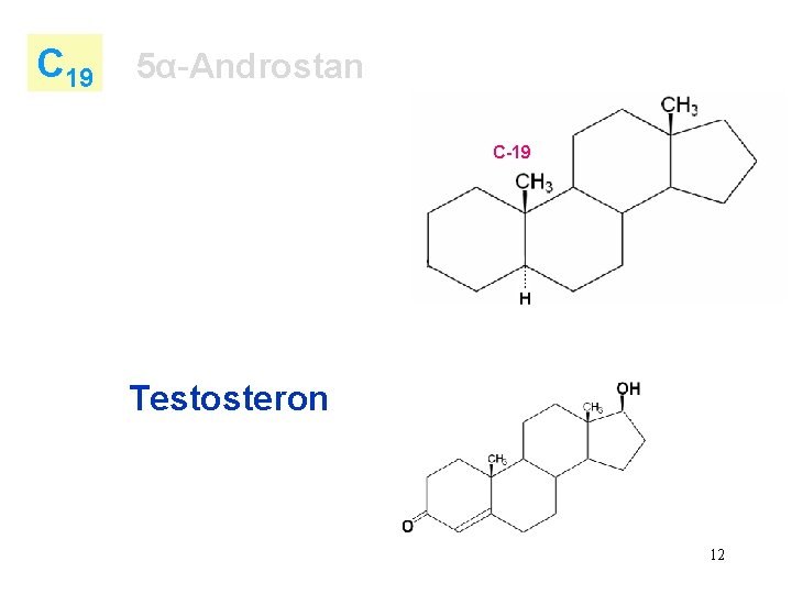 C 19 5α-Androstan C-19 Testosteron 12 