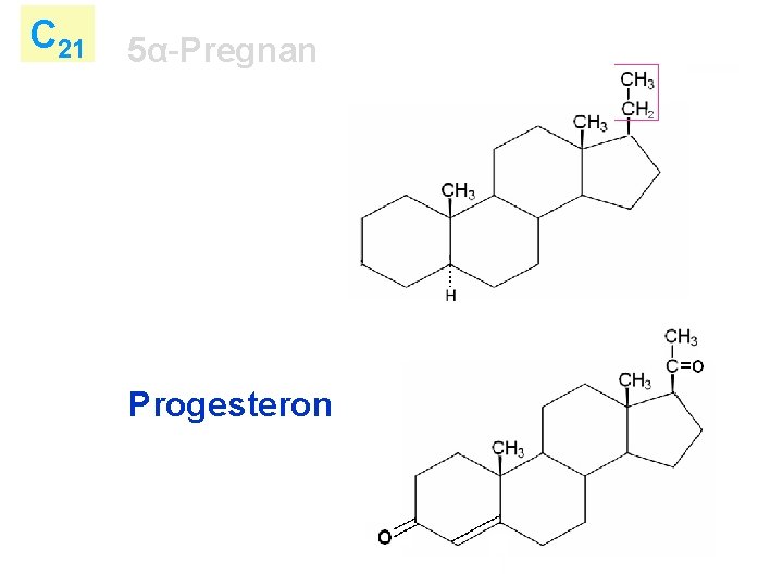 C 21 5α-Pregnan Progesteron 13 