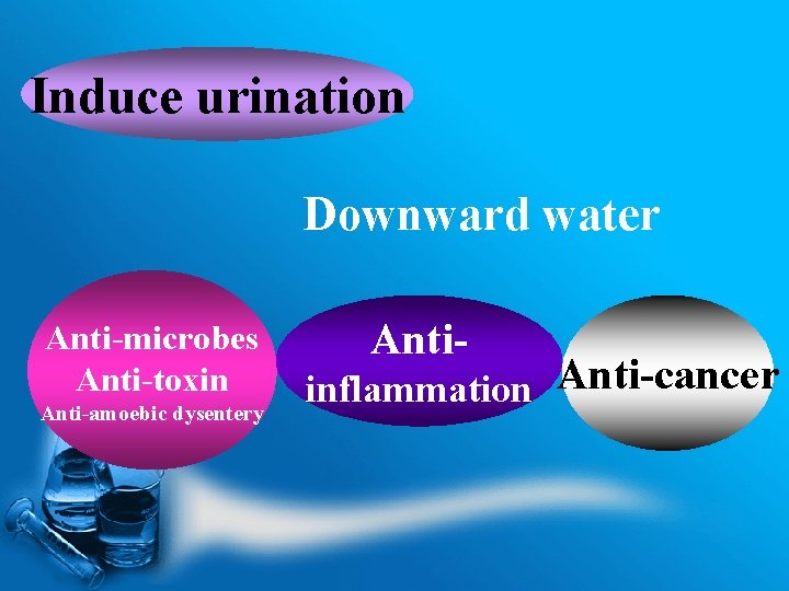 Induce urination Downward water Anti-microbes Anti-toxin Anti-amoebic dysentery Anti- inflammation Anti-cancer 