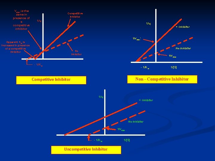 Vmax is the same in presence of a competitive inhibitor Competitive Inhibitor 1/vi +