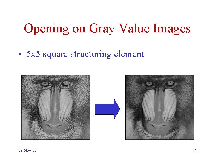 Opening on Gray Value Images • 5 x 5 square structuring element 02 -Nov-20