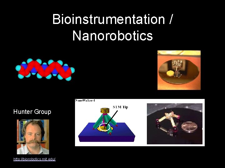 Bioinstrumentation / Nanorobotics Hunter Group http: //biorobotics. mit. edu/ 