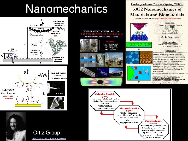 Nanomechanics Ortiz Group http: //web. mit. edu/cortiz/www/ 