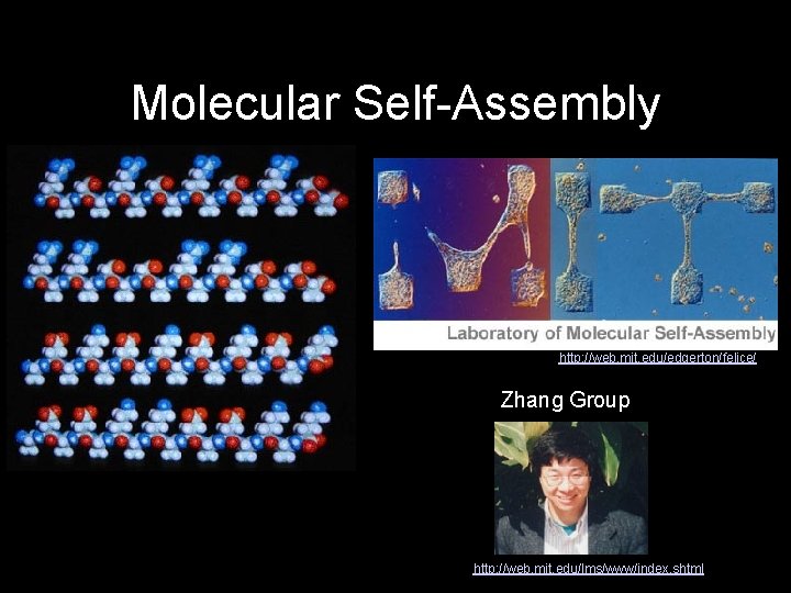 Molecular Self-Assembly http: //web. mit. edu/edgerton/felice/ Zhang Group http: //web. mit. edu/lms/www/index. shtml 