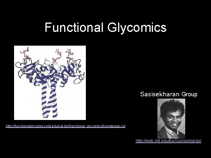 Functional Glycomics Sasisekharan Group http: //functionalglycomics. mit. edu/cgi-bin/functional_glycomics/homepage. cgi http: //web. mit. edu/tox/sasisekharan/ 