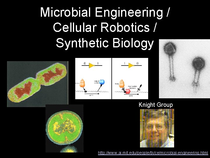 Microbial Engineering / Cellular Robotics / Synthetic Biology Knight Group http: //www. ai. mit.