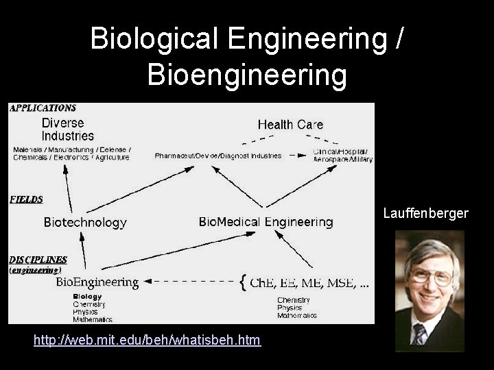 Biological Engineering / Bioengineering Lauffenberger http: //web. mit. edu/beh/whatisbeh. htm 