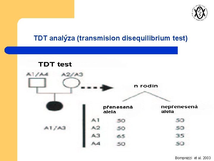 TDT analýza (transmision disequilibrium test) Bomprezzi et al. 2003 