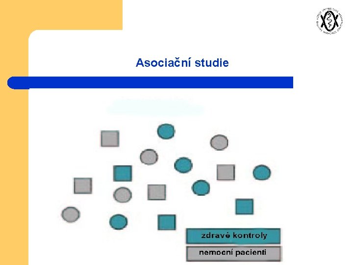 Asociační studie 