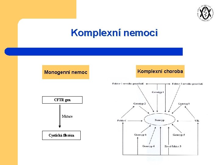 Komplexní nemoci Monogenní nemoc CFTR gen Mutace Cystická fibróza Komplexní choroba 